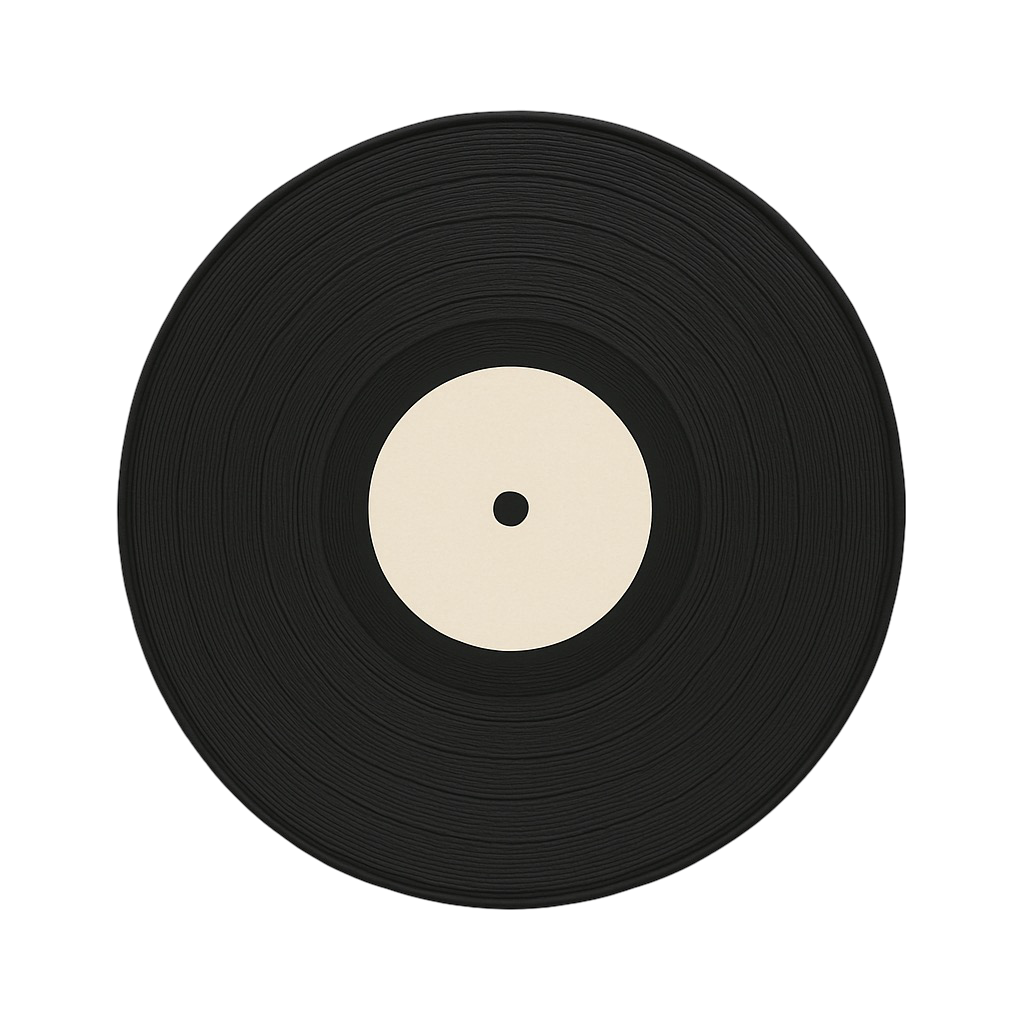 Vinyl disc